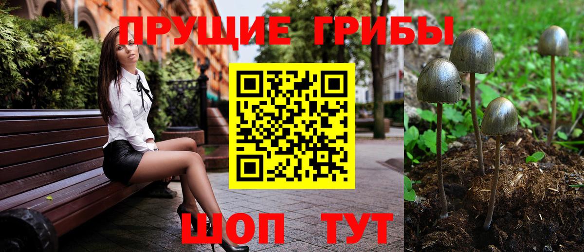 Галлюциногенные грибы Psilocybe Москва